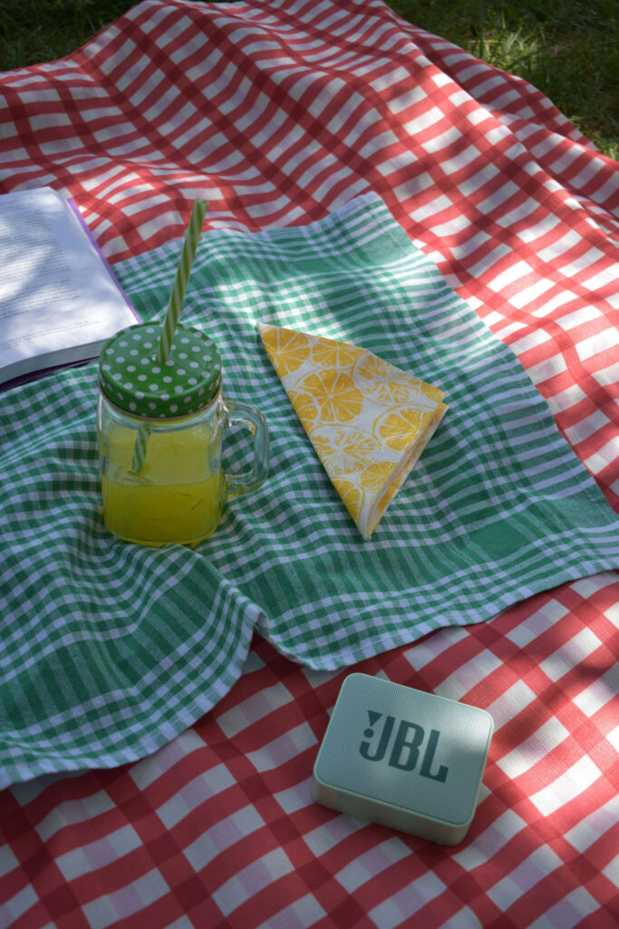 Picnic setup with a drink, napkin, book, and JBL speaker on a checkered blanket